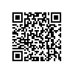 VJ0402D0R4BLAAP QRCode