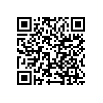 VJ0402D1R3DLCAP QRCode