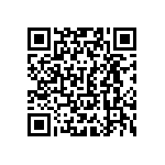 VJ0402D300JLXAJ QRCode