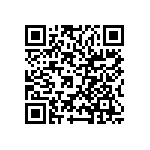 VJ0402D3R9BLBAJ QRCode