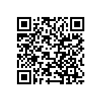 VJ0402D4R3DLCAC QRCode