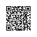 VJ0402D4R3DXAAP QRCode