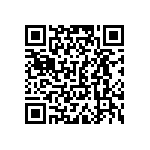 VJ0805D300GLXAJ QRCode