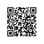 VJ0805D301GXPAR QRCode