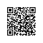 VJ1206A100KBBAT4X QRCode