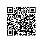 VJ1206Y221JBCAT4X QRCode