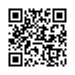 VO4612500000G QRCode