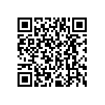 VS3-D2-B3-B3-00-CE QRCode