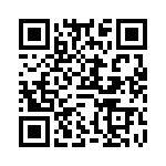 VX3810300000G QRCode