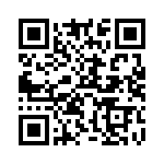 W33-S4B1Q-10 QRCode