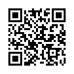 W33-T2N1Q-10 QRCode