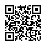 W33-T4B1Q-12 QRCode