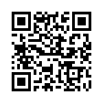 WW12JT1R60 QRCode