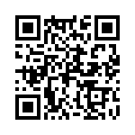 X2024S2-5-T QRCode