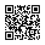 XB9X-DMRS-031 QRCode