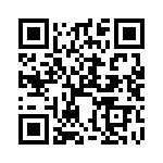 XBP9B-DPST-041 QRCode