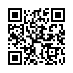 XBP9B-DPUT-041 QRCode