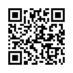 XC9802B313KR-G QRCode