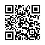 XCV100-6BG256C QRCode