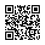 XF-00300-2024 QRCode