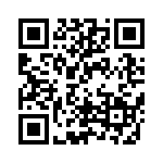 XF2J-122412A QRCode