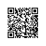 XMLBWT-00-0000-000BU30E3 QRCode