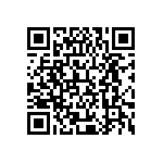 XMLBWT-00-0000-000PT4051 QRCode