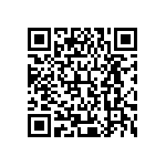 XMLBWT-02-0000-0000T60E1 QRCode