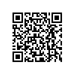 XQEAPA-H2-0000-000000701 QRCode