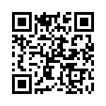 XZDGKMDK53W-9 QRCode