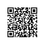 Y00287K25100B9L QRCode