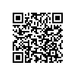 Y006011K1100T0L QRCode