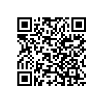 Y006090K9000B0L QRCode