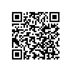 Y006251K4940T9L QRCode