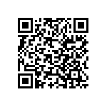 Y006295K3000B0L QRCode