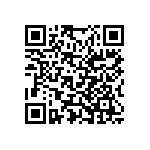 Y0095100K000T0L QRCode