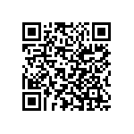 Y0101300K000T9L QRCode