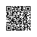 Y011125K9500T9L QRCode