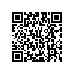 Y01112K02500T9L QRCode