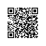 Y078513R2800B9L QRCode