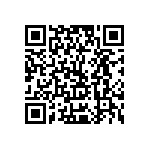 Y07851K98000B0L QRCode