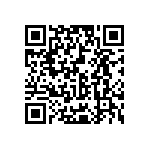 Y078538K3000T9L QRCode