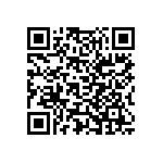 Y079338K3000T0L QRCode