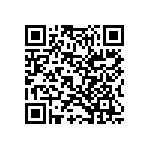 Y0793529R250B9L QRCode