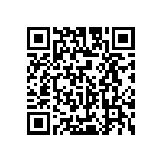 Y079380R3100T9L QRCode