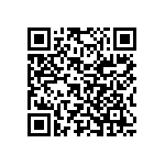 Y09251K28000Q9L QRCode