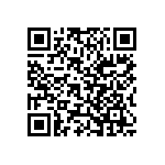 Y09600R20000F0L QRCode