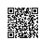 Y09602R50000F0L QRCode
