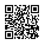 Y100132V203NQ QRCode