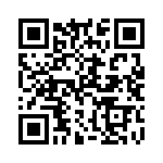 Y101132C201NQE QRCode